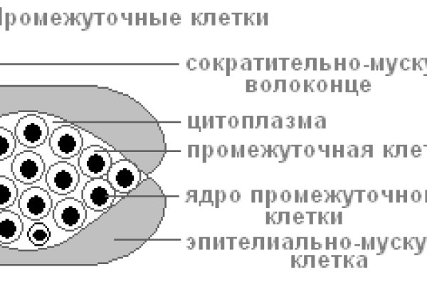 Кракен торговая площадка